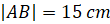 image010