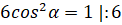 image019
